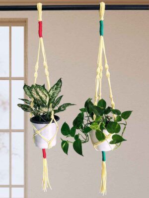 Greenboys Macrame Plant Hanger